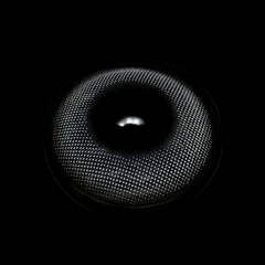 Linette Sofia Gray Coloured Contact Lenses