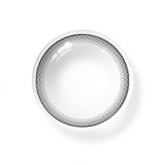 Linette Sofia Gray Coloured Contact Lenses