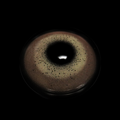 Gimlet Brown Coloured Contact Lenses