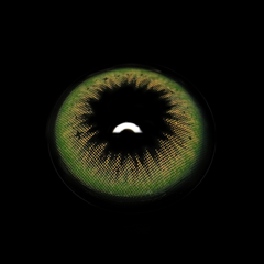 Auriga Green Coloured Contact Lenses