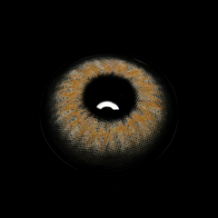 Talitha Brown Coloured Contact Lenses