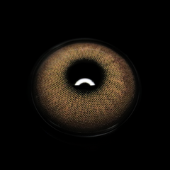 Astrape Brown Coloured Contact Lenses