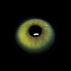 Seren Green Coloured Contact Lenses