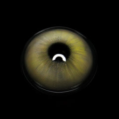 Vlinder Brown Coloured Contact Lenses