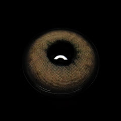 Berilo Brown Coloured Contact Lenses