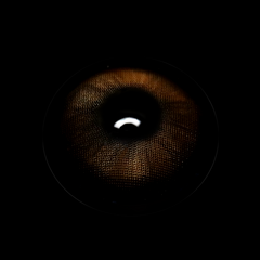 Americano Brown Prescription Coloured Contact Lenses