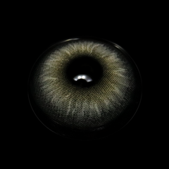 Claudina Sea Gray Coloured Contact Lenses