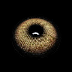 Beatriz Brown Coloured Contact Lenses