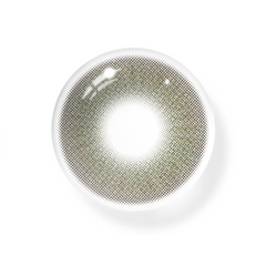 Beatriz Gray Coloured Contact Lenses