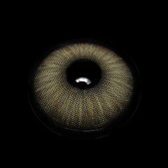 Beatriz Gray Coloured Contact Lenses