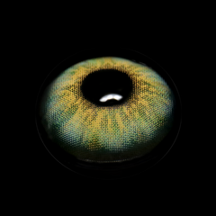 Lazuli Deep Green Coloured Contact Lenses