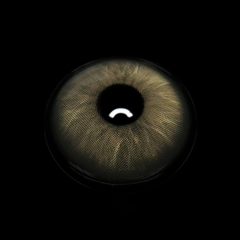 Efigenia Brown Coloured Contact Lenses