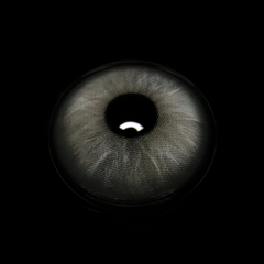 Efigenia Gray Coloured Contact Lenses