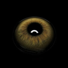 Andreia Brown Coloured Contact Lenses