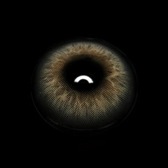 Bibiana Gray Coloured Contact Lenses