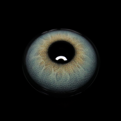 Alvar Blue Coloured Contact Lenses