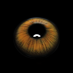 Gretchen Brown Coloured Contact Lenses