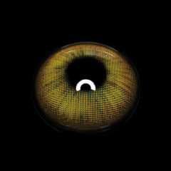 Gretchen Green Coloured Contact Lenses