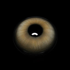 Raquel Gray Coloured Contact Lenses