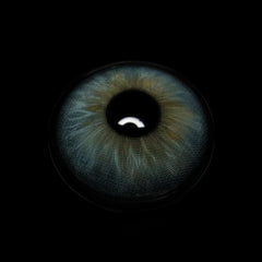 Ligia Blue Coloured Contact Lenses