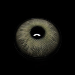 Viceroy Brown Coloured Contact Lenses