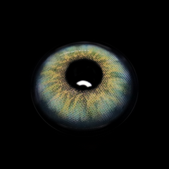 Anita Green Coloured Contact Lenses