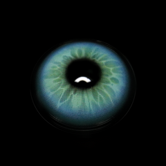 Elvina Blue Coloured Contact Lenses