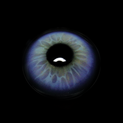 Elvina Purple Coloured Contact Lenses