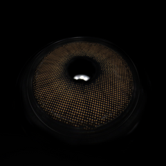 Marcela Dark Brown Coloured Contact Lenses