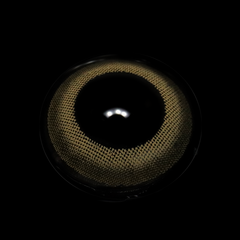 Linette Moon Brown Coloured Contact Lenses