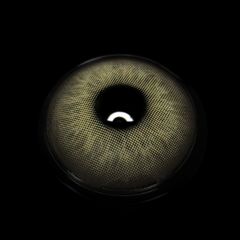 Celia Brown Coloured Contact Lenses