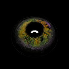 Larimar Yellow Coloured Contact Lenses