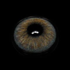 Roxy Lolite Gray Daily (10 Pcs) Coloured Contact Lenses