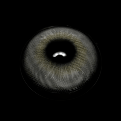 Alabaster Gray Coloured Contact Lenses - BEAUEYE (UK)