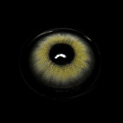 Ariel Gray Coloured Contact Lenses - BEAUEYE (UK)