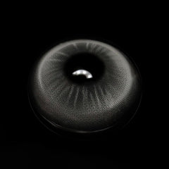 Avery Light Gray Coloured Contact Lenses - BEAUEYE (UK)