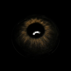 Cassia Black Coloured Contact Lenses - BEAUEYE (UK)