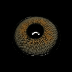Cassia Gray Coloured Contact Lenses - BEAUEYE (UK)