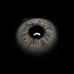 Celeste Gray Coloured Contact Lenses - BEAUEYE (UK)