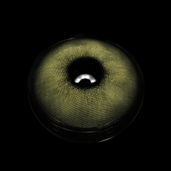 Claudina Oil Green Coloured Contact Lenses - BEAUEYE (UK)