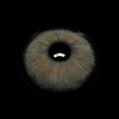 Clover Shining Gray Coloured Contact Lenses - BEAUEYE (UK)