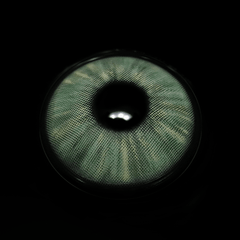 Clover Shining Green Coloured Contact Lenses - BEAUEYE (UK)