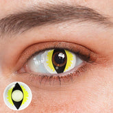 Cosplay Cat Eye Lash Yellow Coloured Contact Lenses - BEAUEYE (UK)