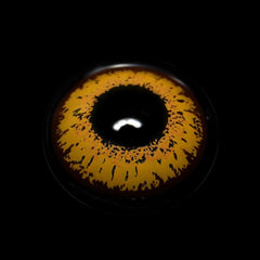 Cosplay Genshin Impact Candace Gold Yellow Coloured Contact Lenses - BEAUEYE (UK)