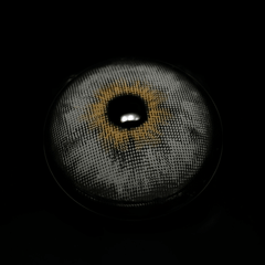 Cyrene Gray Coloured Contact Lenses - BEAUEYE (UK)