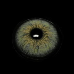 Cyrene Yellow Gray Colored Contact Lenses - BEAUEYE (UK)