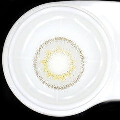 Danica Sand Gray Coloured Contact Lenses - BEAUEYE (UK)