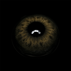 DNA Taylor Brown Hazel Prescription Coloured Contact Lenses - BEAUEYE (UK)