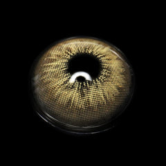 Elfie Brown Coloured Contact Lenses - BEAUEYE (UK)