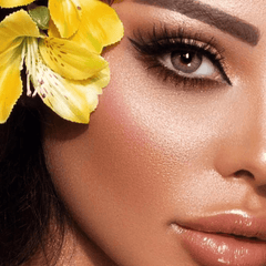 Elite Gray Beige Coloured Contact Lenses - BEAUEYE (UK)